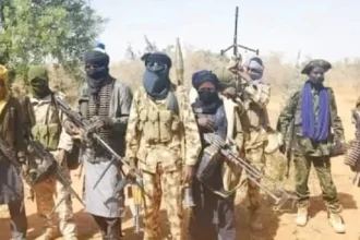 Bandits Abduct Zamfara LG Chairman, Kill Four Security Operatives