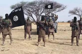 FG Arrests Seven Suspected Boko Haram, ISWAP Commanders Returning From Hajj