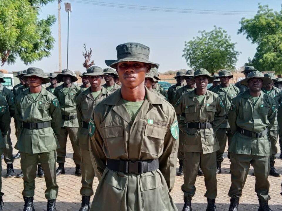 Forest Guards Deployed Nationwide as States Strengthen Security