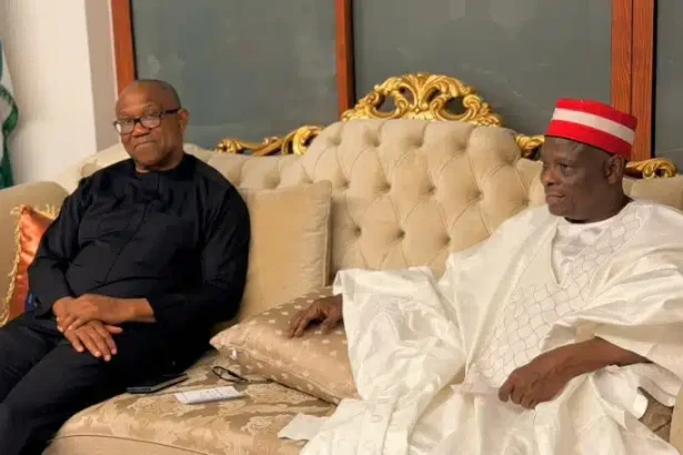 Kwankwaso Reveals Details Of Meeting With Peter Obi In Abuja