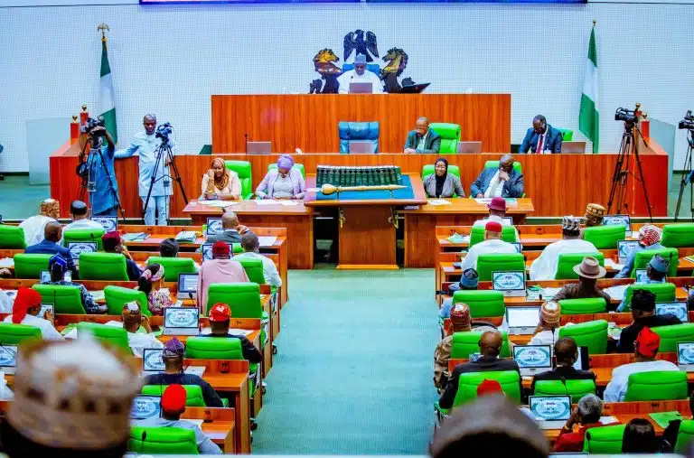 House Minority Caucus Appoints Afam Ogene as Spokesperson