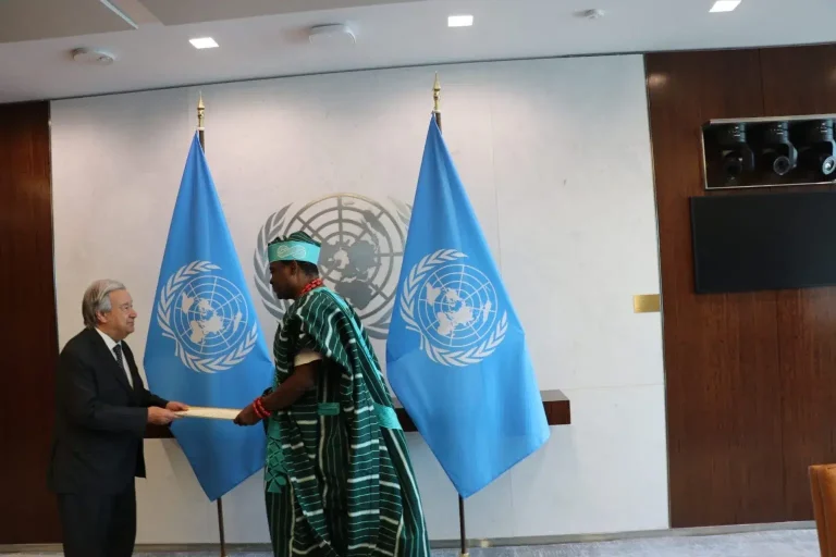 Jimoh Ibrahim Elected UN Budget Committee Chair