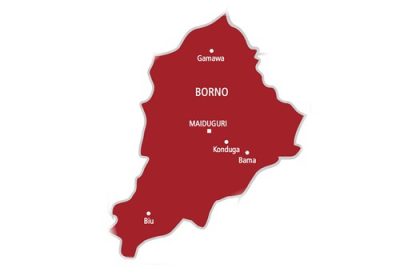 Borno Leaders Appeal for Release of Abducted Schoolchildren
