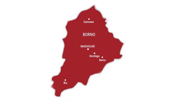 Borno Leaders Appeal for Release of Abducted Schoolchildren