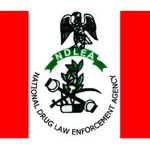NDLEA Seizes Over 320,000 Tramadol Capsules, Arrests Suspects Across States