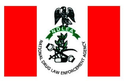 NDLEA Seizes Over 320,000 Tramadol Capsules, Arrests Suspects Across States