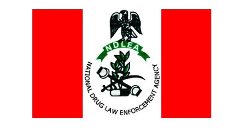 NDLEA Seizes Over 320,000 Tramadol Capsules, Arrests Suspects Across States