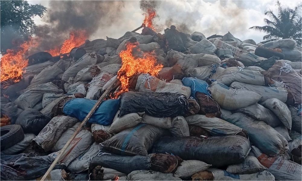 Marwa Leads Destruction of ₦2.8bn Drug Haul in Edo