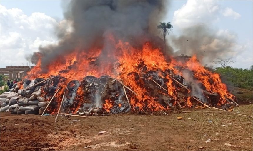 Marwa Leads Destruction of ₦2.8bn Drug Haul in Edo
