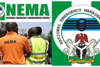 Rescue Continues After Port Harcourt Building Collapse, Says NEMA