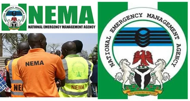 Rescue Continues After Port Harcourt Building Collapse, Says NEMA