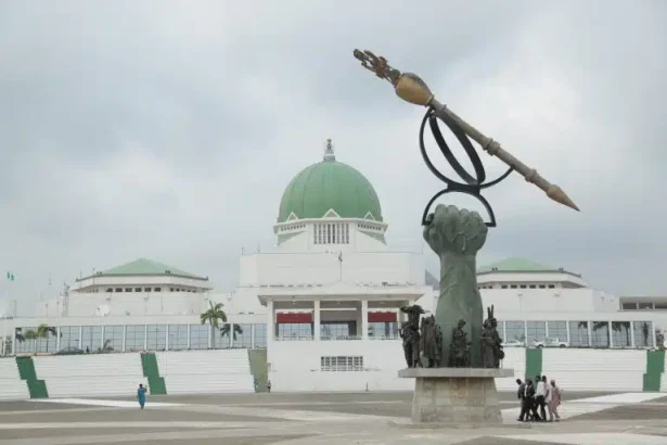 Heavy Security Blocks Protesters From Accessing National Assembly