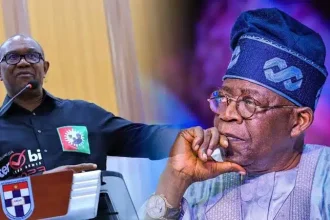 'Your Demand For Tinubu To Resign Is Reckless' – Presidency Slams Obi