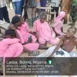 Army Rescues 10 Abducted NECO Candidates in Borno