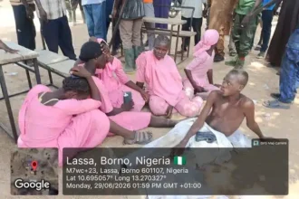Army Rescues 10 Abducted NECO Candidates in Borno