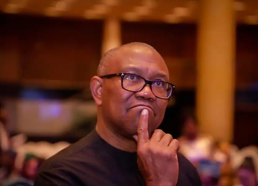 Peter Obi Not On Same Level With Tinubu - Presidency