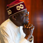 2027: Shifting Alliances May Hand Tinubu Victory In 22 States, Says Sowunmi