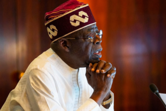2027: Shifting Alliances May Hand Tinubu Victory In 22 States, Says Sowunmi