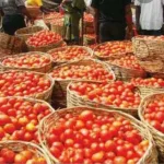 Tomato Prices To Fall From August