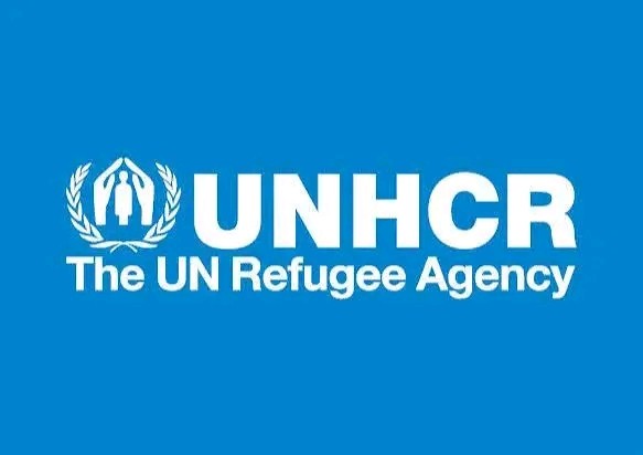 Escalating Violence, Mass Displacement Threaten To Unravel Lake Chad Basin, UNHCR Warns