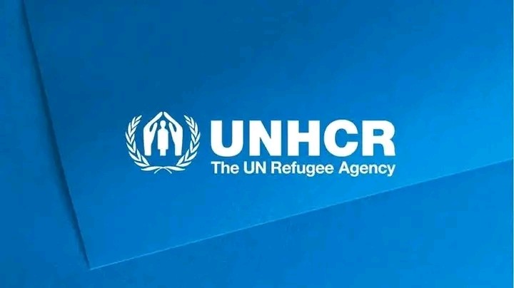 UNHCR Warns: 3.5 Million Displaced as Lake Chad Basin Violence Hits Tipping Point