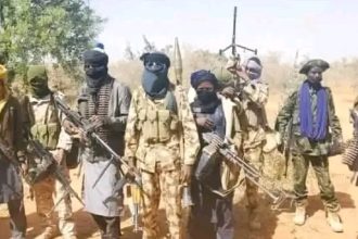 Bandits Kill Nine Farmers, Abduct Several Others In Kaduna