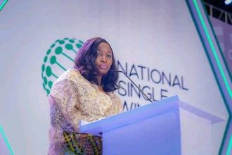FAAN Boss Olubunmi Kuku Warns States Over Unviable Airport Infrastructure