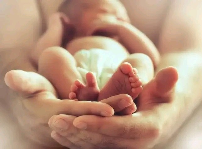 UN Report: Economic Hardship, Not Feminism, Driving Global Fertility Decline