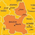 Gunmen Storm Bauchi, Kill Village Resident, Kidnap Four In Fresh Insecurity Wave