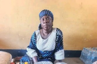 Troops Intercept Foreign Female Courier Supplying Narcotics To Lake Chad Terrorists