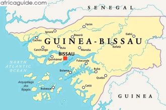 Guinea-Bissau Military Court Jails Top Opposition Leader Domingos Simões Pereira Over Alleged Coup Plots