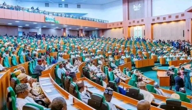 BREAKING: House Steps Down Own Bill, Moves Forward with President Tinubu’s State Police Proposal