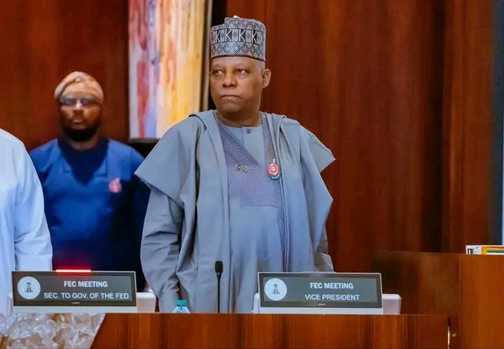 "Nice Men Should Sell Ice Cream" — VP Shettima Says Nigeria Demands Tough Leadership 
