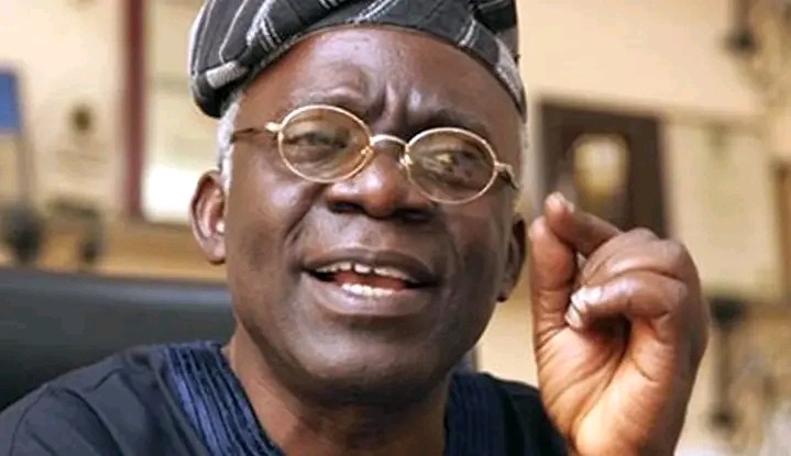 Xenophobia: Sue South Africa at African Court for Damages, Falana Tells Nigeria, Ghana