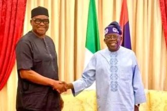 REA: Tinubu Names Ayo Fayose Board Chairman In Sweeping Federal Appointments