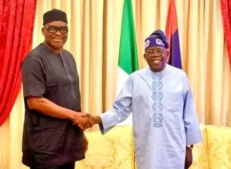 REA: Tinubu Names Ayo Fayose Board Chairman In Sweeping Federal Appointments