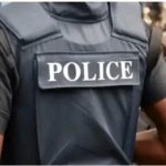 Five States Set to Convert Local Security Outfits into State Police Following National Assembly Progress