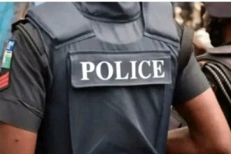 Five States Set to Convert Local Security Outfits into State Police Following National Assembly Progress
