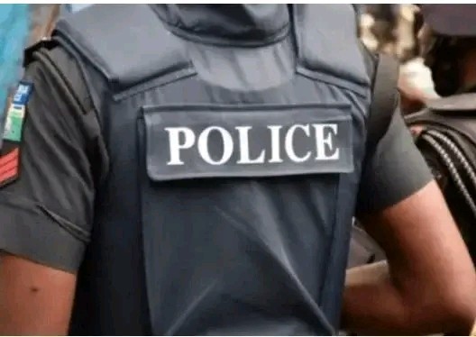 Five States Set to Convert Local Security Outfits into State Police Following National Assembly Progress