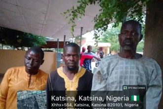 Operation FANSAN YAMMA: Military Foils Abduction, Intercepts Stolen Cattle in Katsina