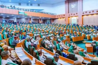 House of Reps Probes Dollar Charges on Local Petrol Sales, Import Licence Allocation