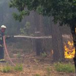 Over 250,000 Evacuated as Massive Wildfires Ravage France, Spain