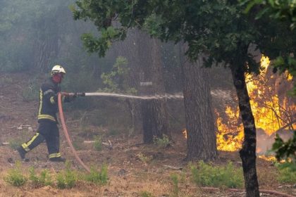 Over 250,000 Evacuated as Massive Wildfires Ravage France, Spain