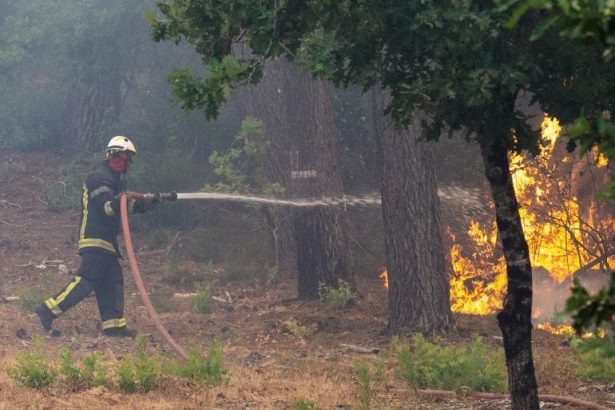 Over 250,000 Evacuated as Massive Wildfires Ravage France, Spain