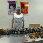 67-Year-Old Grandmother, PhD Student Arrested in Major NDLEA Drug Bust