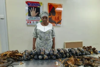 67-Year-Old Grandmother, PhD Student Arrested in Major NDLEA Drug Bust