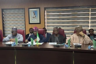 Tinubu Declines Meeting With South African Envoys