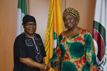 Foreign Affairs Ministry, NIDCOM Unite to Drive Diaspora Development
