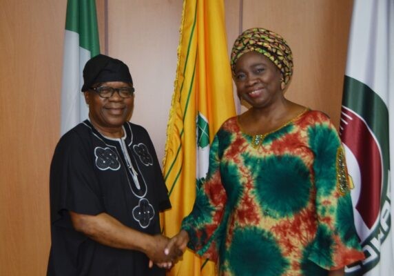 Foreign Affairs Ministry, NIDCOM Unite to Drive Diaspora Development