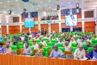 Reps Seek Balance Between Fuel Imports, Local Refining